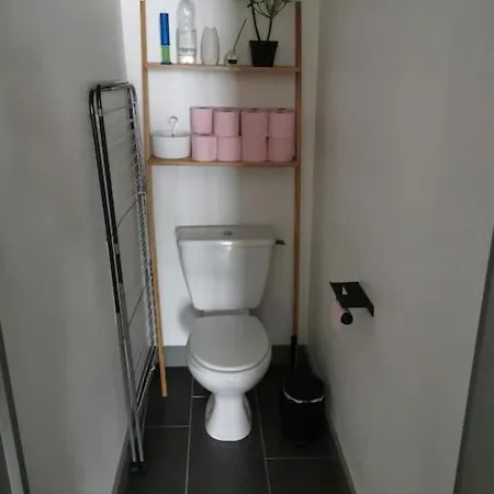 Apartman Charmant Appart 70m2 Au Coeur D'ancenis *