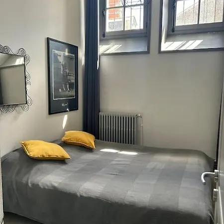 דירה Charmant Appart 70m2 Au Coeur D'ancenis אנסניס