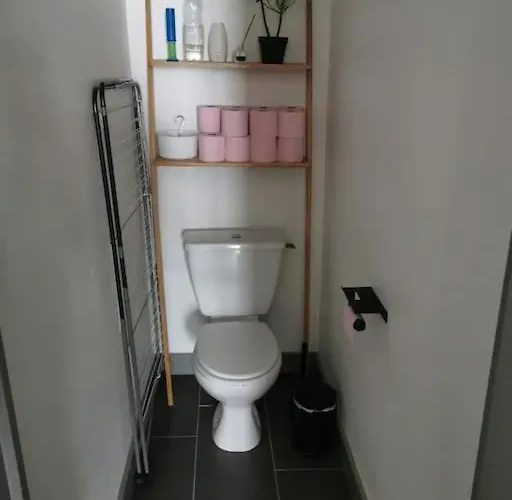 Daire Charmant Appart 70m2 Au Coeur D'ancenis *